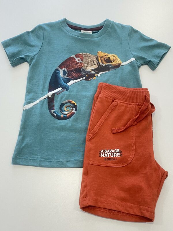 Conjunto - Image 2