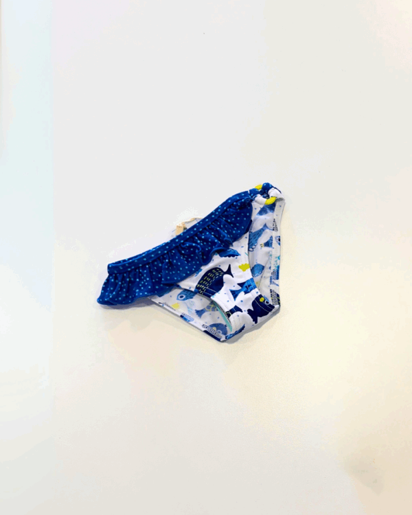 Cueca bikini